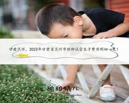 甘肃代怀，2023年甘肃省兰州市供卵试管生子费用明细一览！