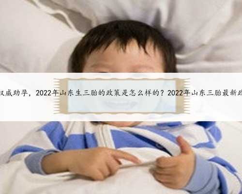 山东权威助孕，2022年山东生三胎的政策是怎么样的？2022年山东三胎最新政策？