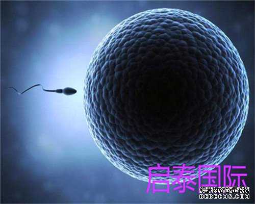 找自然供卵试管-代孕孩子有哪些中介-中国婴悦助孕网