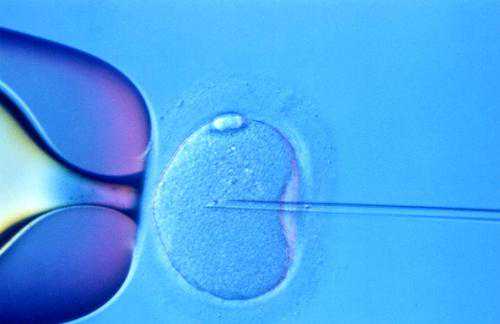 如何判断供卵机构靠不靠谱,广州供卵试管，如何选择靠谱助孕机构？