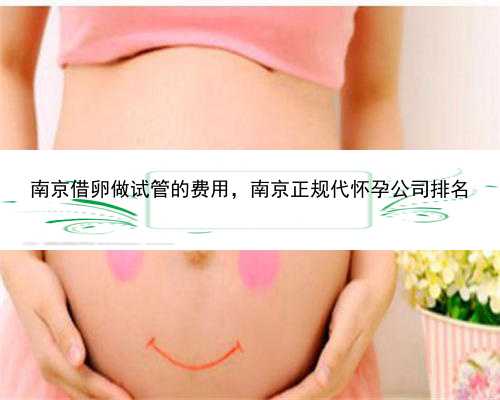 南京借卵做试管的费用，南京正规代怀孕公司排名