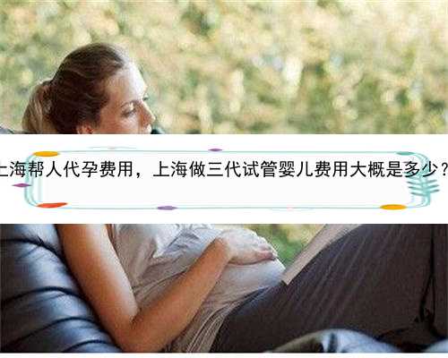 上海帮人代孕费用，上海做三代试管婴儿费用大概是多少？