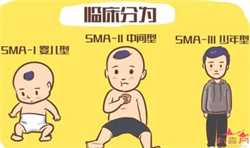 武汉单身代孕过程，武汉同济试管婴儿咨询：真正的过程经历