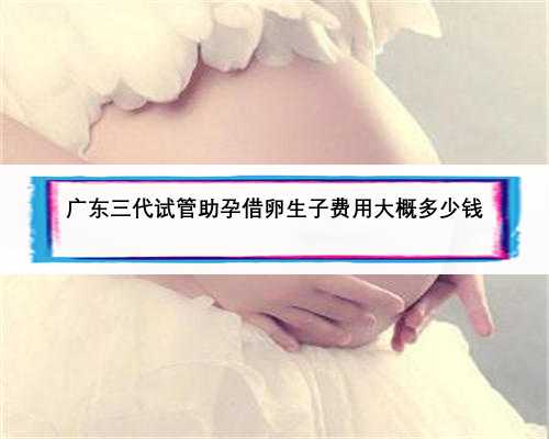 广东三代试管助孕借卵生子费用大概多少钱